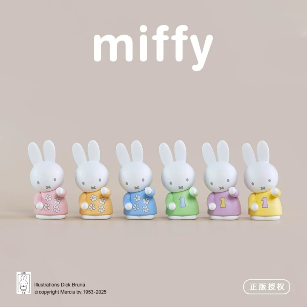 Miffy Penhouder Blind Box Kleu - Desk Setup Organizer recensie en prijs